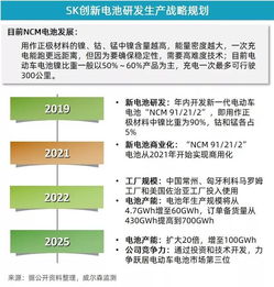 5月新能源乘用車市場(chǎng)增速放緩，投資管理面臨新考量